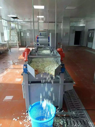 蔬菜渦流清洗機(jī)在杭州味捷食品公司收到好評
